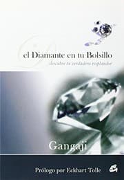 Tapa de El diamante en tu bolsillo