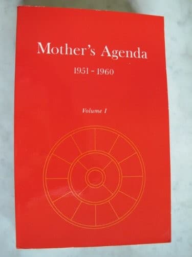Tapa de Mother's agenda