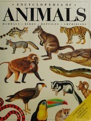 Tapa de Encyclopedia of Animals