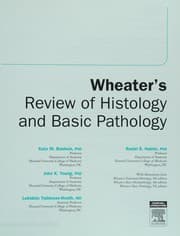 Tapa de Wheater's review of histology and basic pathology