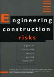 Tapa de Engineering construction risks