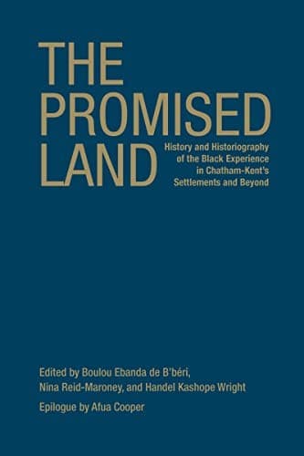 Tapa de The promised land