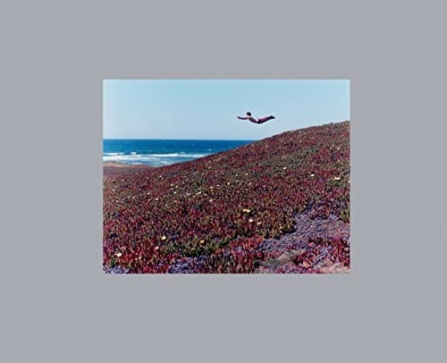 Tapa de Flying Pictues