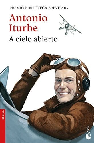 Tapa de A cielo abierto
