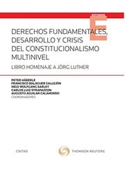 Tapa de Derechos fundamentales, desarrollo y crisis del constitucionalismo multinivel