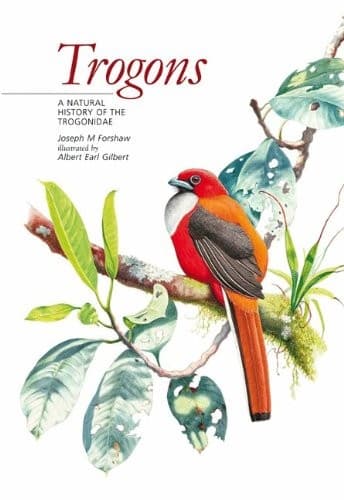 Tapa de Trogons