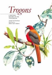 Tapa de Trogons