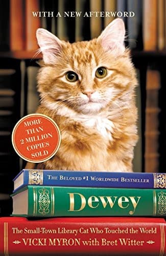 Tapa de Dewey Lib/E
