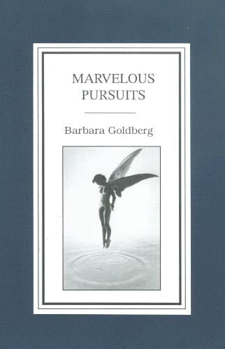 Tapa de Marvelous Pursuits