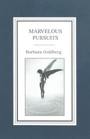 Tapa de Marvelous Pursuits