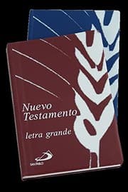 Tapa de Nuevo testamento. Letra grande. Plástico
