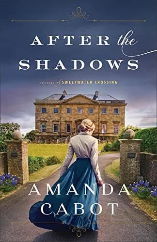 Tapa de After the Shadows