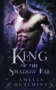 Tapa de King of the Shadow Fae