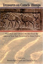 Tapa de Treasures on camels' humps