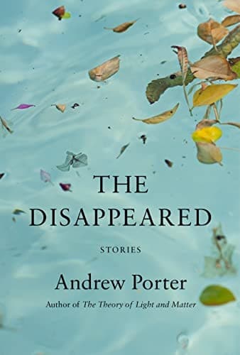 Tapa de Disappeared