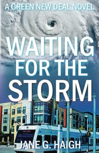 Tapa de Waiting for the Storm