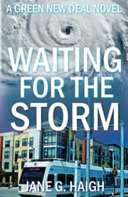 Tapa de Waiting for the Storm