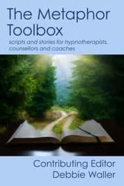 Tapa de The Metaphor Toolbox