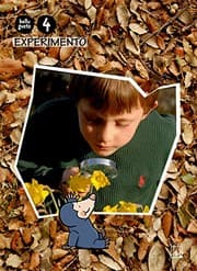 Tapa de Llibre Experimento 4 anys. Belluguets