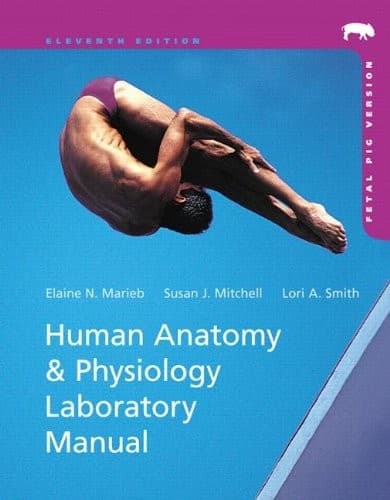 Tapa de Human Anatomy and Physiology
