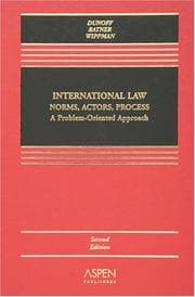 Tapa de International Law Norms, Actors, Process