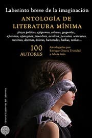 Tapa de Laberinto breve de la imaginación