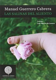 Tapa de LAS SALINAS DEL ALIENTO