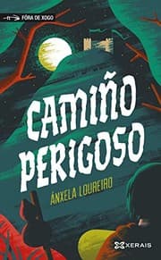 Tapa de Camiño perigoso