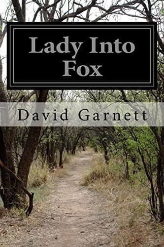 Tapa de Lady Into Fox