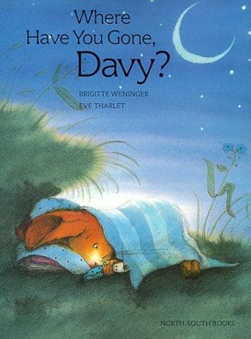 Tapa de Where Have You Gone, Davy?pb