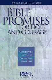 Tapa de Bible Promises (pamphlet)