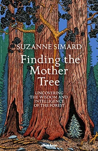 Tapa de Finding the Mother Tree