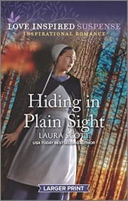 Tapa de Hiding in Plain Sight