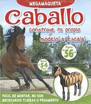 Tapa de Caballo