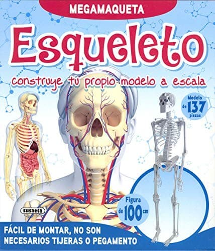Tapa de Esqueleto