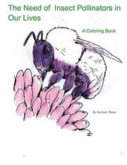 Tapa de The Need of Insect Pollinators for Our Lives