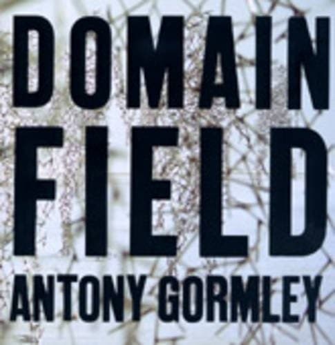 Tapa de Domain field