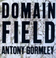 Tapa de Domain field