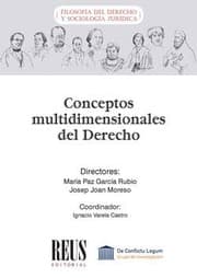 Tapa de Conceptos multidimensionales del Derecho