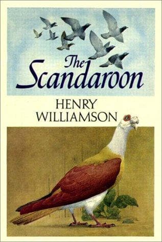 Tapa de The Scandaroon