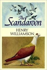 Tapa de The Scandaroon