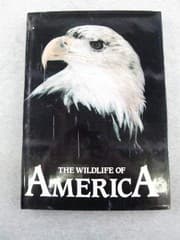 Tapa de Wildlife of America