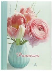 Tapa de Promesas