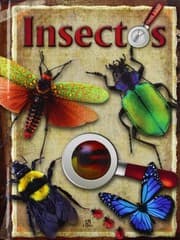 Tapa de Insectos