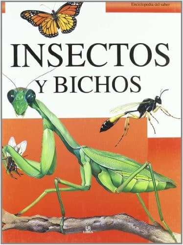 Tapa de Insectos y Bichos