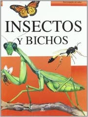 Tapa de Insectos y Bichos