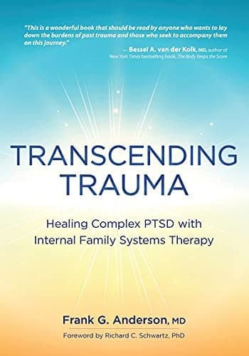 Tapa de Transcending Trauma