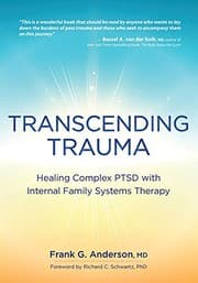 Tapa de Transcending Trauma