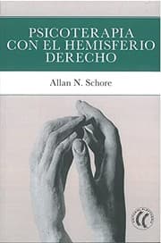 Tapa de Psicoterapia con el hemisferio derecho