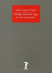 Tapa de Divago mientras vago